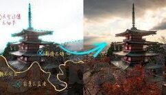 国产av麻豆办公室秘书-创作并非真实场景模拟