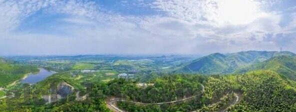 果冻传媒杜鹃-杜鹃在果冻传媒的璀璨绽放