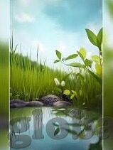 久久se精品一区精品二区-探索网络世界的多元选择，久久SE精品一区与精品二区的独特魅力