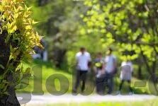 麻豆app下载入口-探索麻豆app的下载之路，为何如此受欢迎？