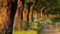 苹果testflight麻豆91-创新思维与平台试用的新篇章，苹果TestFlight与麻豆91的巧妙融合