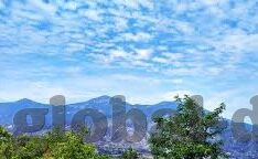 心糖vlog排行-揭秘心糖Vlog排行，网络短视频的甜味盛宴